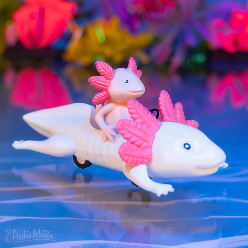 Axolotl Joyride - Image 3