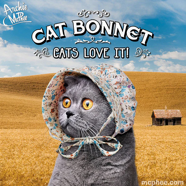 Cat Bonnet - Image 3