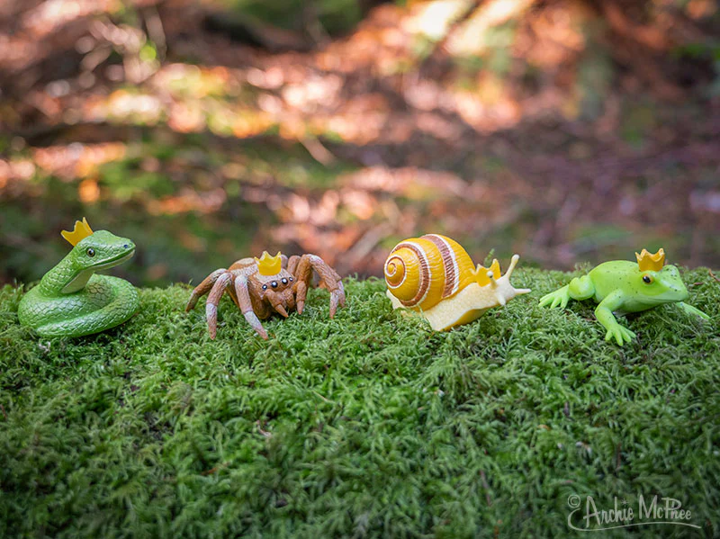 Crowned Critters - Image 6