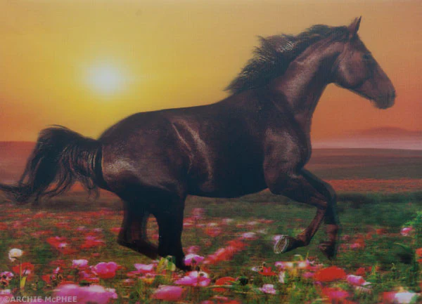 Cute and Cuddly Lenticular Card Set - Image 6