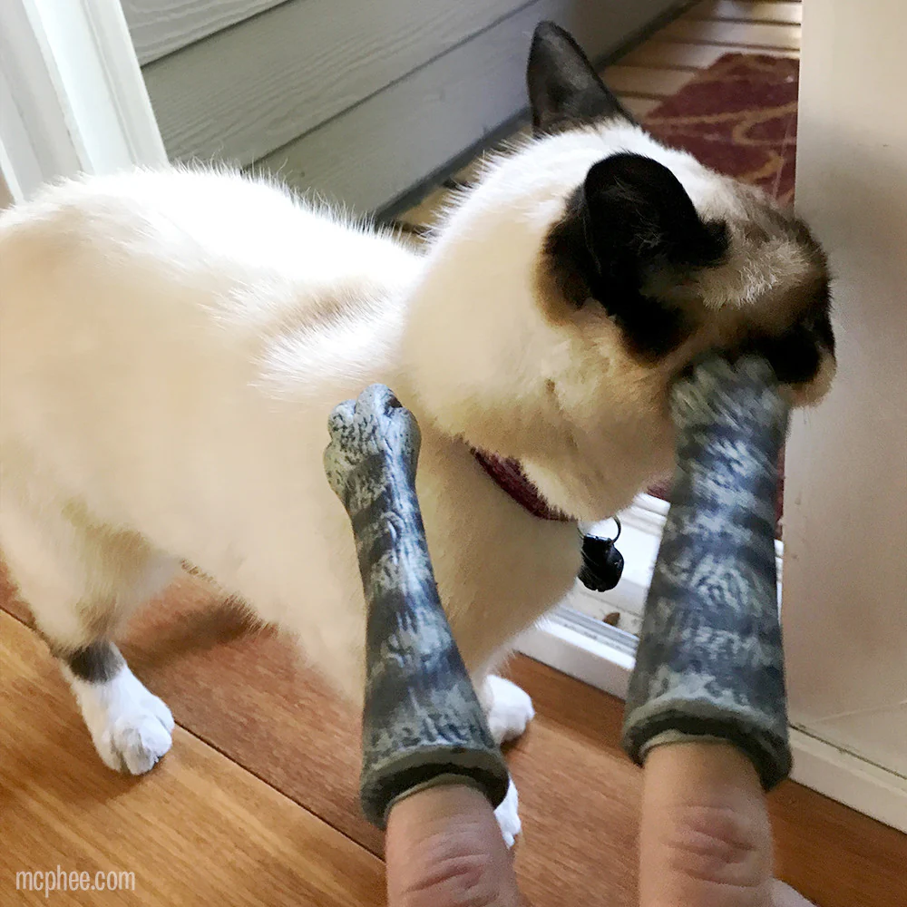 Finger Cat Paws - Image 7