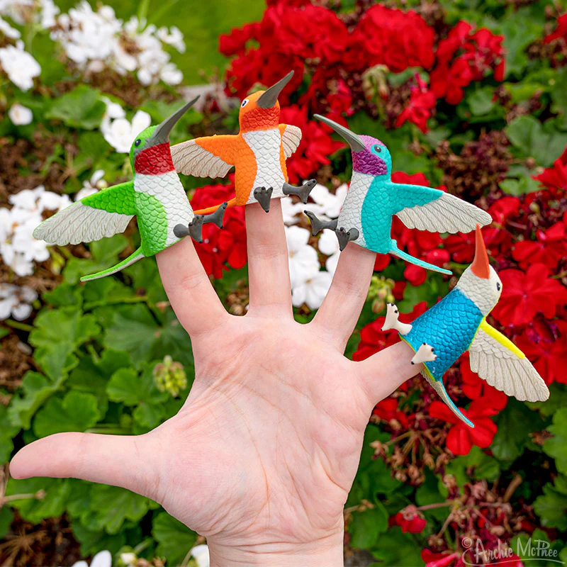 Finger Hummingbirds Bulk Box - Image 3