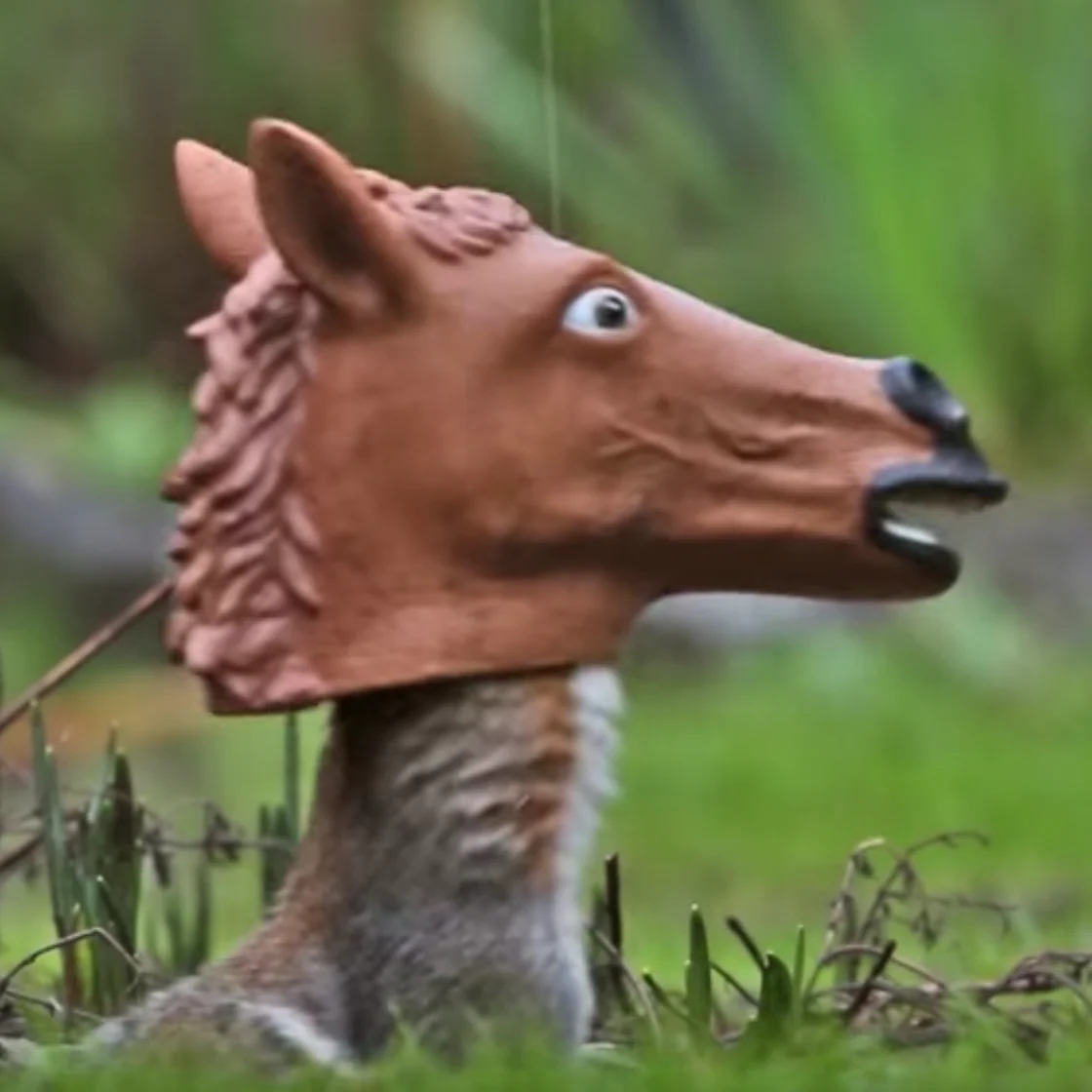 Horse Head Squirrel Feeder - Image 3