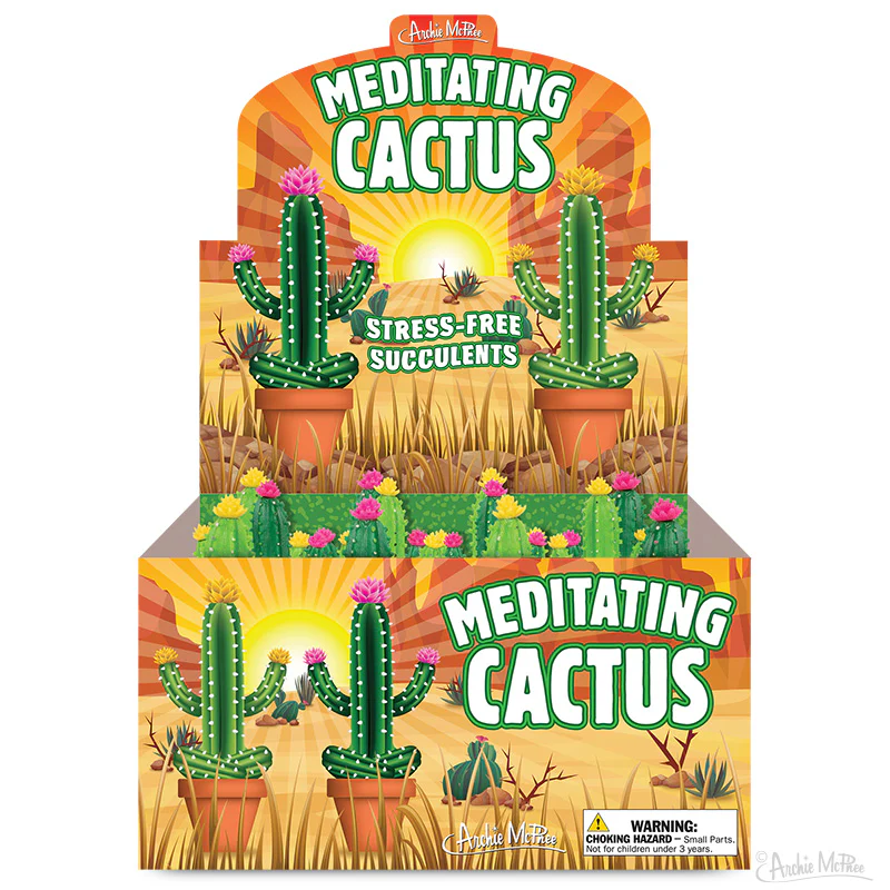 Meditating Cactus Bulk Box