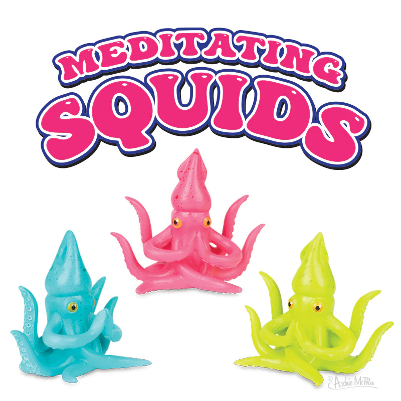 Meditating Squid - Bulk Box - Image 2