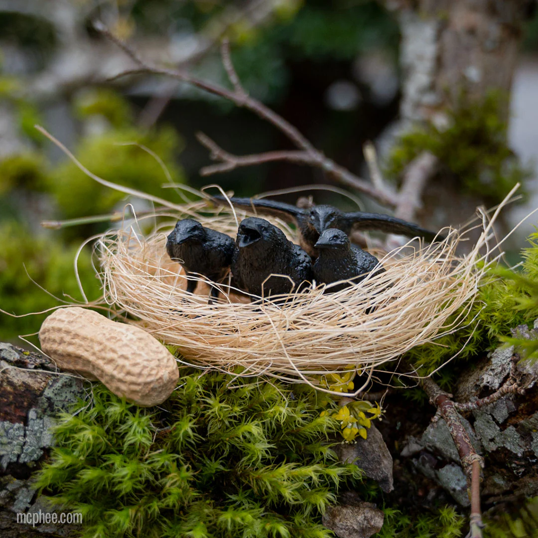 Murder of Crows - Tiny Crows - Image 3