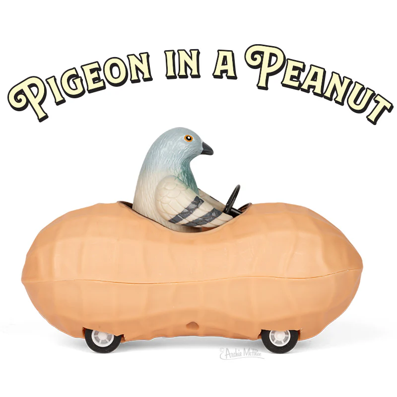Pigeon in a Peanut - Image 3