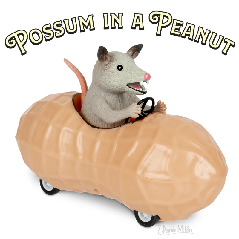 Possum in a Peanut