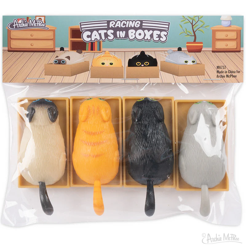 Racing Cats in Boxes - Set of 4 - Image 3