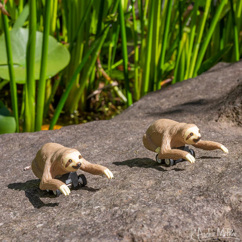 Racing Sloths - Set of 3 - Image 2