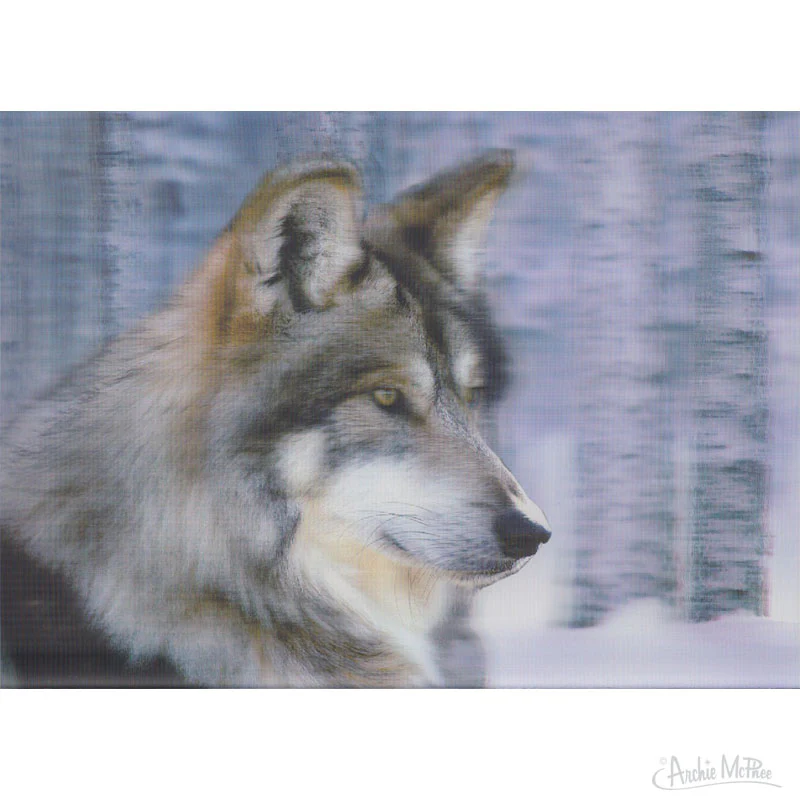 Rough and Tumble Lenticular Card Set - Image 3